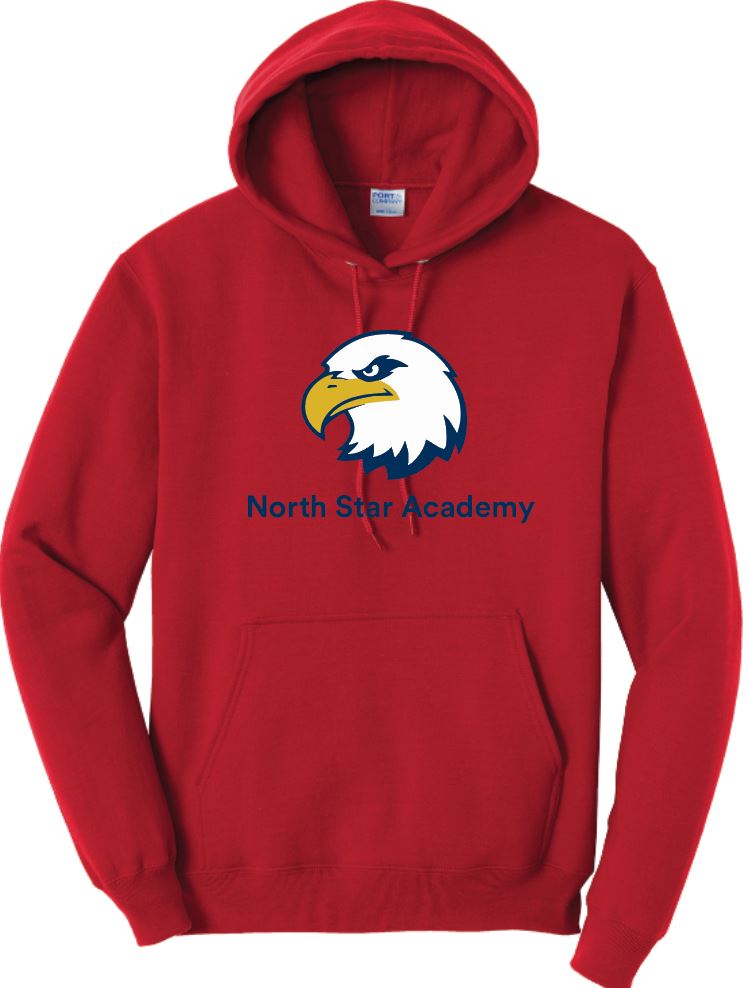 3a) PC78H Port & Co™ Core Fleece Pullover Hooded Sweatshirt